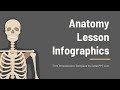 Free Anatomy Lesson Infographics for PowerPoint & Google Slides by GreatPPT