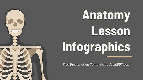 Free Anatomy Lesson Infographics for PowerPoint & Google Slides by GreatPPT