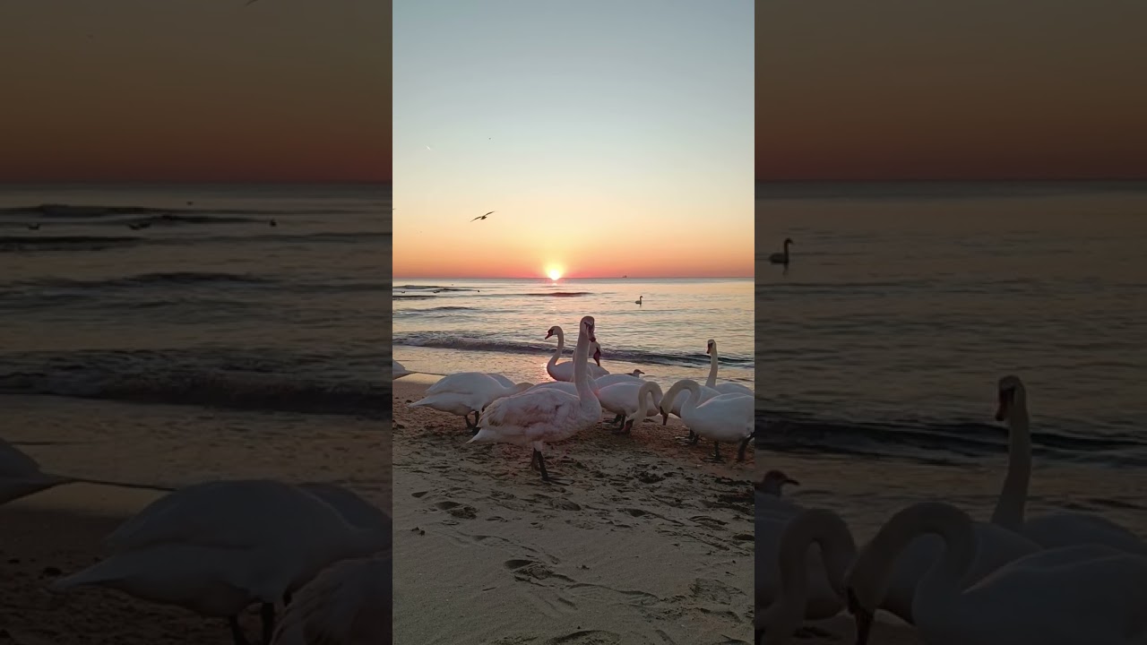 Sunrise in Varna, Bulgaria 2024