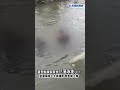 快新聞／薔琵颱風假驚見「落水影」！宜蘭兩移工大排捕魚 警急喊上岸｜民視快新聞｜