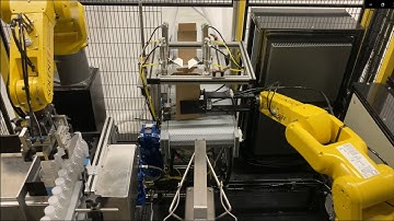 Solent Automation Case Erector and Packer SOLPACK