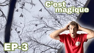 EP-3: ON POSE UN VOL DE PALOMBES INCROYABLE ( actions magiques)