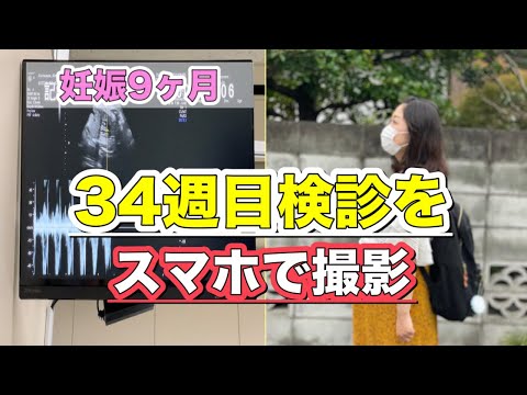 【妊娠9ヶ月検診】34週目の検診を撮影／リアル映像／妊娠ドキュメンタリー