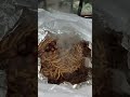 #new #shortvideo #funny #food #dinner #fyp #follow #love #moments #tasty #chowmein #india #nepal
