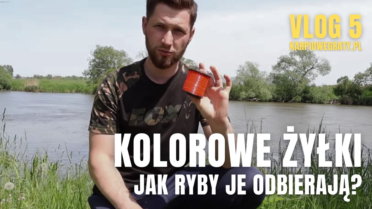 VLOG 5 - Kolorowe żyłki karpiowe