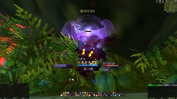 WoW Wotlk Classic Warlock ZG Mount Bosses Solo (Thekal & Mandokir)
