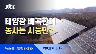 [밀착카메라] 농사는 시늉만…지붕엔 '돈 나오는' 태양광 빼곡 / JTBC 뉴스룸