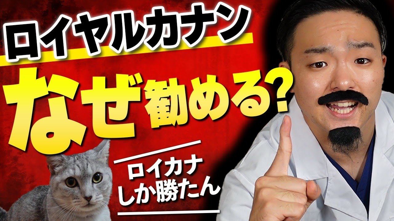 【なぜ！？】獣医がロイヤルカナンを勧める理由とは！？