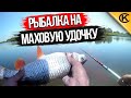 Рыбалка на маховую удочку на реке. Ловля белой рыбы на ракушку.