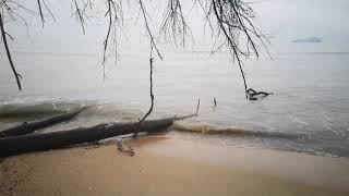 8D Audio of Enya Only Time