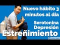 Rutina de ejercicio: Limpia intestinos y mejora la depresión!! Solo 3 min. al día!!!