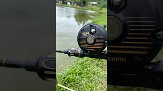 anaconda shimano tackle bag My shimano 14 Stella Please be forewarned. Size:INT30VISW GOLD Meiho Plastic Boxes