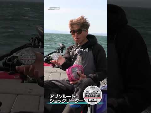 Very Strong Shock Leader「VARIVAS アブソルートショックリーダー」【Vish 奥田学ビッグセオリー】#shorts