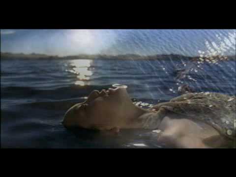 爽健美茶２００９
