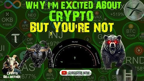 The Contrarian View: Why 2026 Could Be Massive for Crypto Profits!