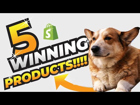 5 Winning Products to Sell on Your Shopify Store (Perfect Example)