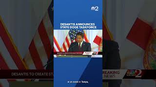 DeSantis announces state wide DOGE task force