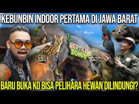 KEBUNBIN INDOOR PERTAMA DI JAWA BARAT. BARU BUKA KO BISA PELIHARA HEWAN DILINDUNGI #AudreyA #KI