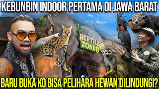 THE FIRST INDOOR ZOO IN WEST JAVA. IT JUST OPENED AND YOU CAN KEEP PROTECTED ANIMALS #AudreyA #KI