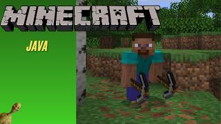 Playing Minecraft Java Edition For My First Time!