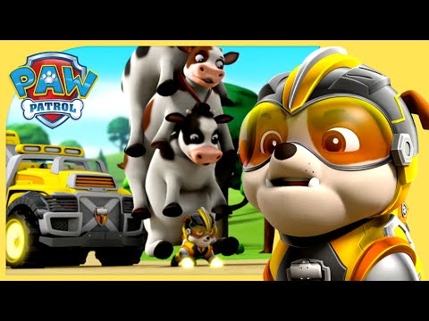PAW PATROL MIGHTY PUPS RUBBLE RESCUES & MORE
