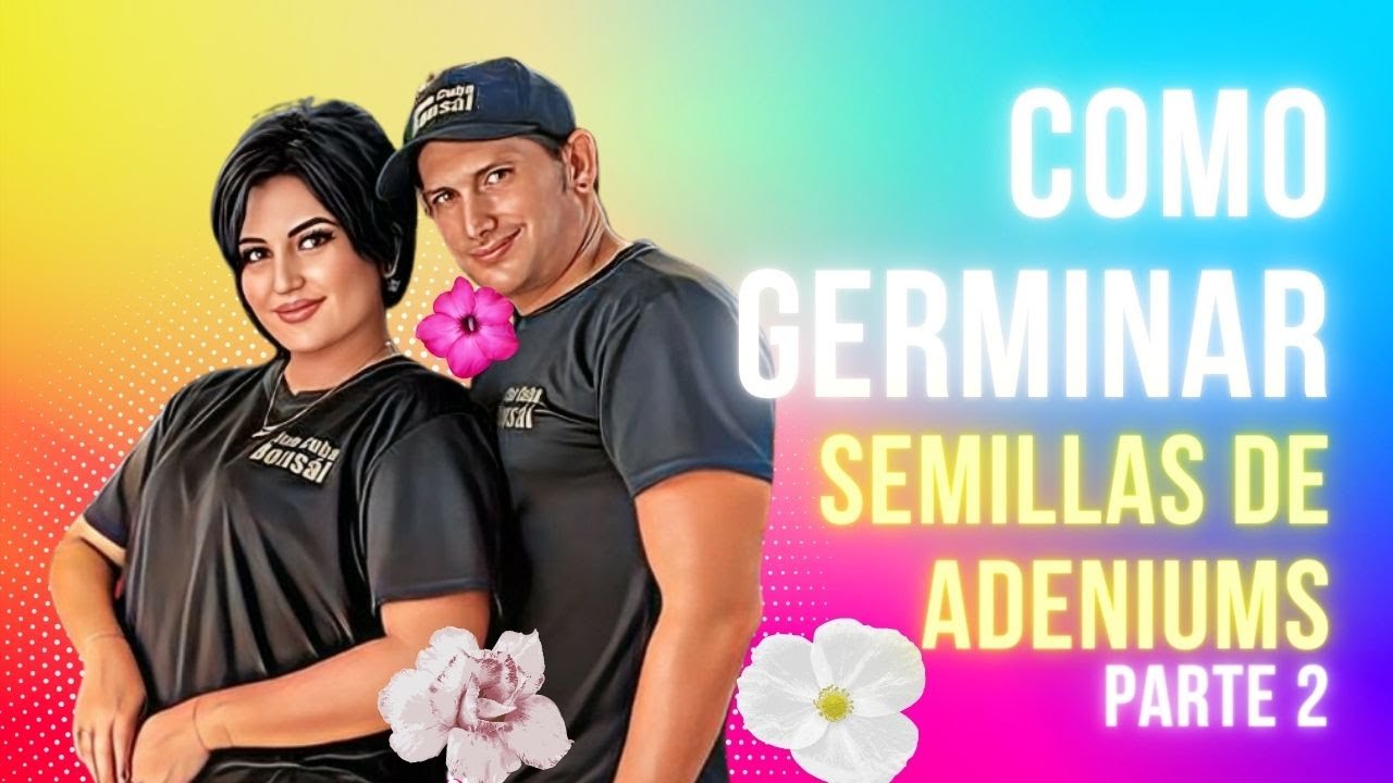 Cómo germinar semillas de Adeniums Parte 1 Continuación #adeniums #rosadeldesierto #adenium #flores