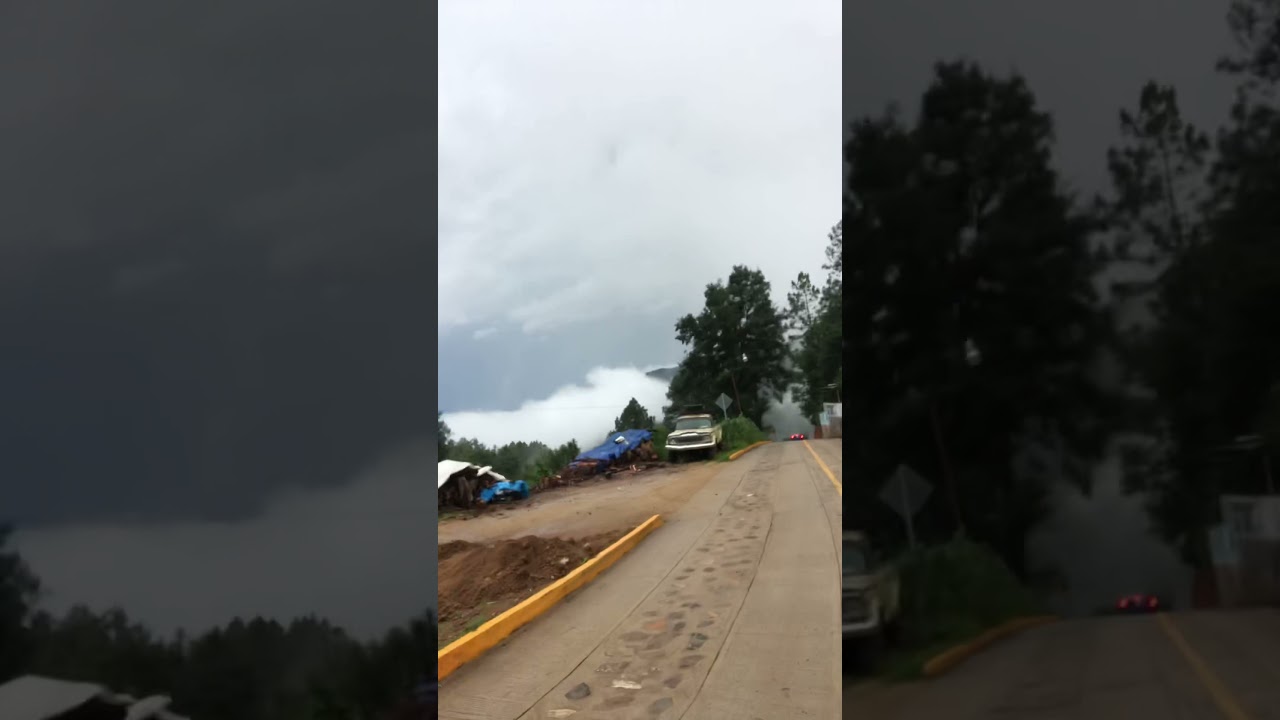San Mateo Mexico’s mushroom capital
