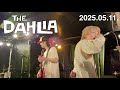 The Dahlia 2025.05.11. 