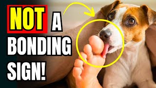 If Dogs LICK Your Feet, This Is What It Really Means