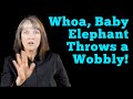 Learn ASL Grammar in a Short Story About Elephants