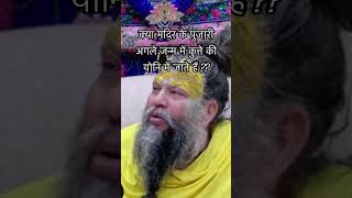 क्या शिव मंदिर के पुजारी अगले जन्म में कुत्ते की योनि में जाते हैं? #vrindavan #premanandjimaharaj