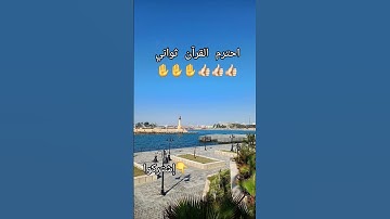 راحه نفسيه من سورة يونس #subscribe #اكسبلور #المصحف #لايك #القزابري #تيك_توك #ترند #حالات_واتس 🌿🌿🌿🌿🥀