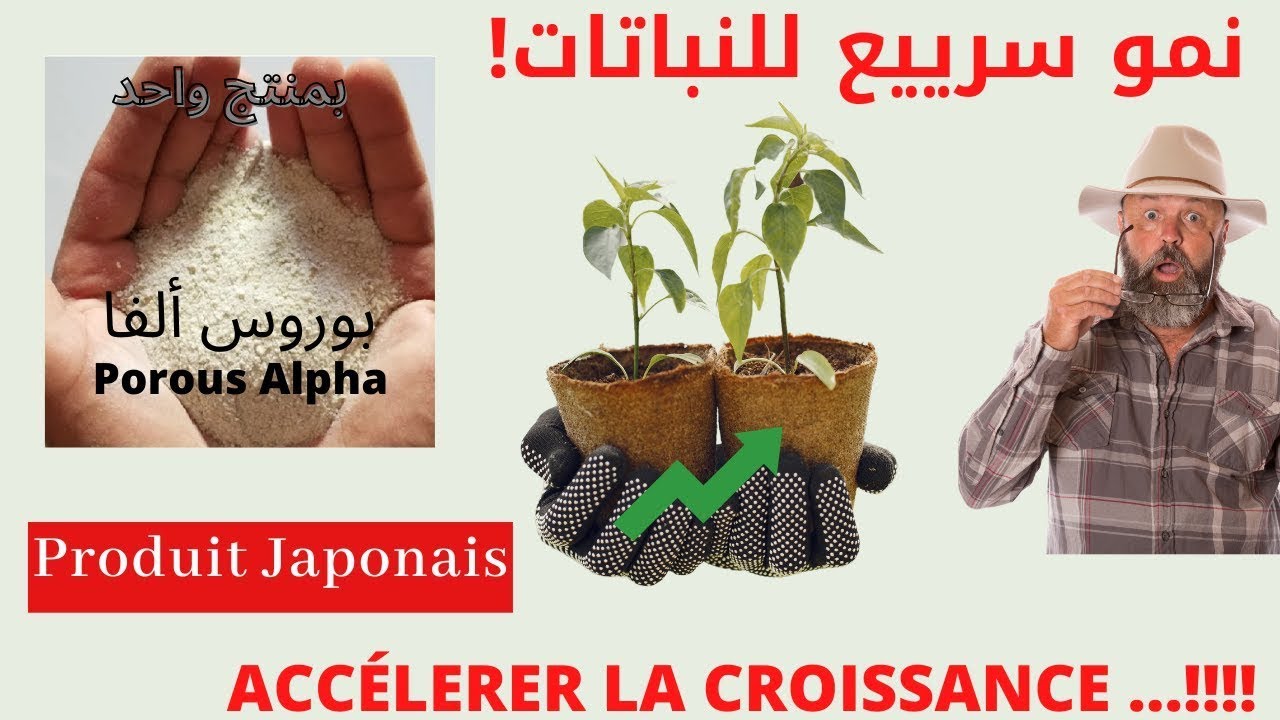 Accélérer la croissance des plants avec ''Porous Alpha'' - YouTube