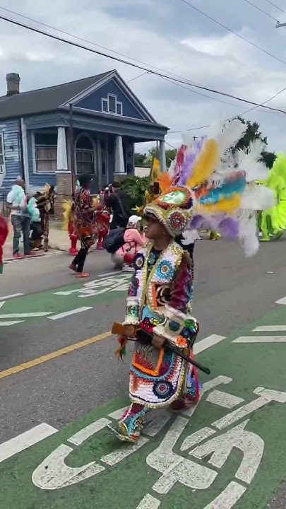mardi gras store westbank