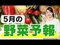 【5月の野菜予報】GW明けはお買い物のチャンス!?半値近く値下げする野菜も