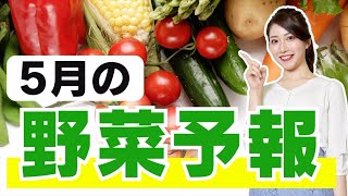 【5月の野菜予報】GW明けはお買い物のチャンス!?半値近く値下げする野菜も