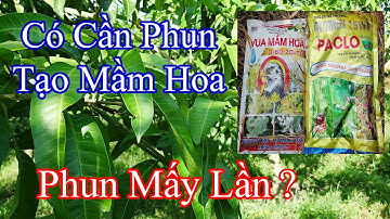 Tìm hiểu về tạo mầm hoa_Cách làm hiệu quả |Gốc Cù Lao| #0986289491