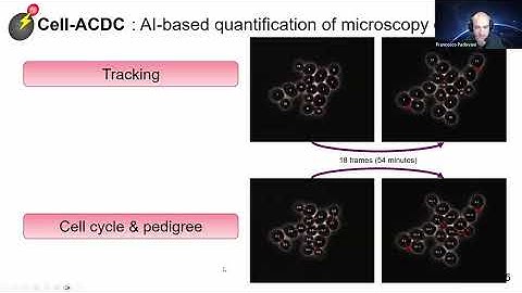 Multidimensional microscopy data analysis with Cell-ACDC and SpotMAX