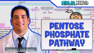 Metabolism Pentose Phosphate Pathway