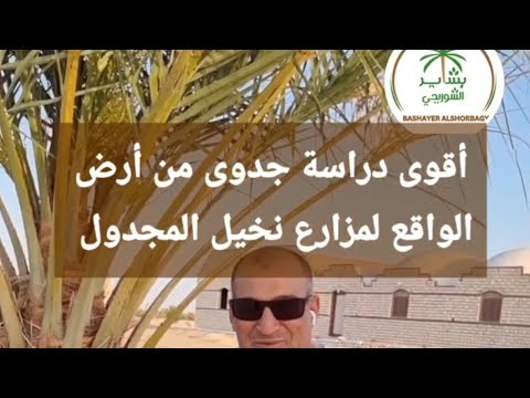 بشاير النخيل شاهد أقوى دراسة جدوى لفدان تمور المجدول من مع الطبيب العالمى أحمد راجح