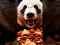Panda ASMR Feast 🍔 | Panda Eats Junk Food & Cooks Crispy Chicken for the First Time! 🍗✨ #pandaasmr