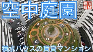 コロッセオのような外観！？空中庭園つき永住型賃貸マンションのお部屋【アイランドシティ・インフィニガーデン】