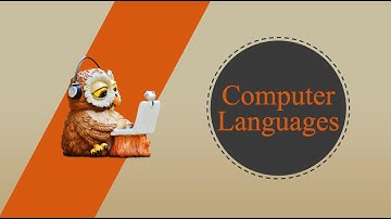 Computer Languages || For Class 6 || High Level Languages || Low Level Languages