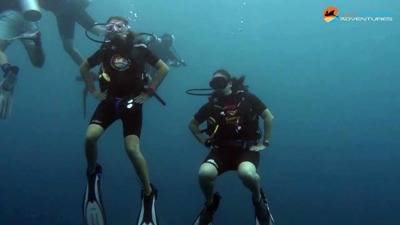 Manta Queen 5 Trip no.100 (3-6.11.2016)