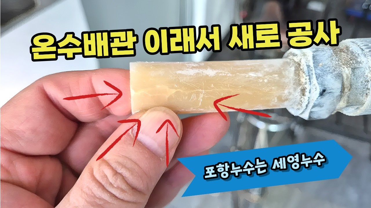 포항 구룡포 식당 주방 천정 누수… 원인은 2층 다방 온수배관!  결국 부분 신설공사