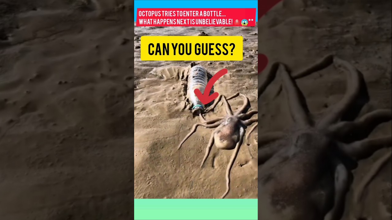 Octopus Tries to Enter a Bottle... What Happens Next is Unbelievable! 🐙😱#shorts