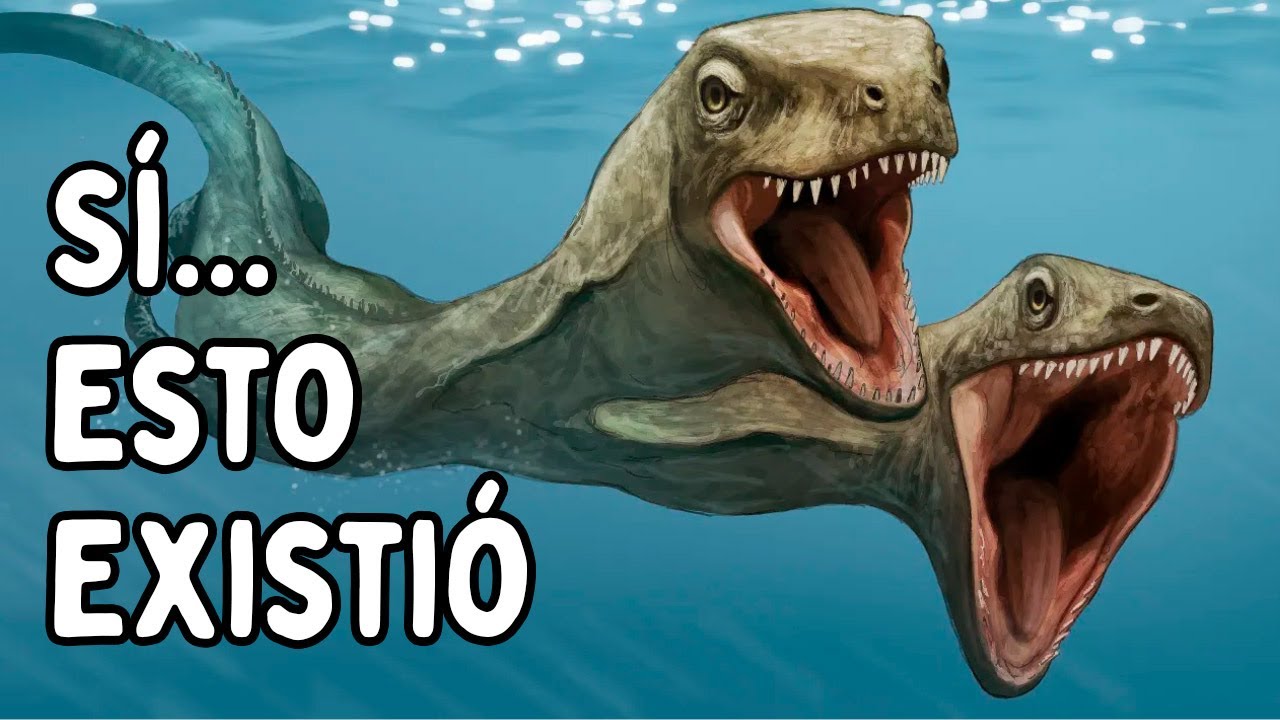 Fósiles Tan Extraños Que No Deberían Existir