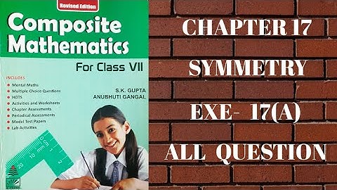 std 7 || exe 17(A) || All questions || Symmetry || composite mathematics || s.chand