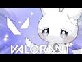 【 VALORANT 】スイフト！散歩中に牛がいました #valorant