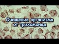 ОЧИЩЕНИЕ организма от ТРИХОМОНАД по методу Трескунова